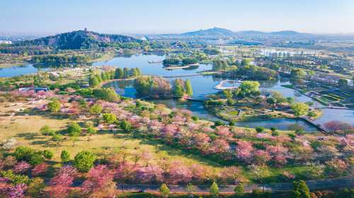 上海辰山植物园