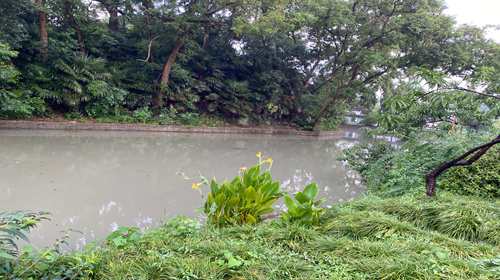 北护城河
